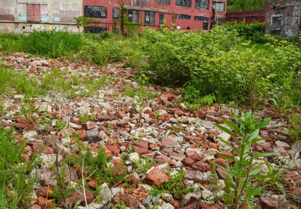 A bunch of bricks that have fallen from demolition.