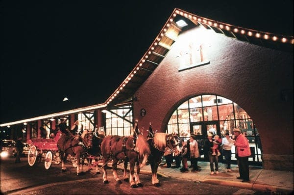 The photo displays a horse and buggy to take folks around and a plaza.