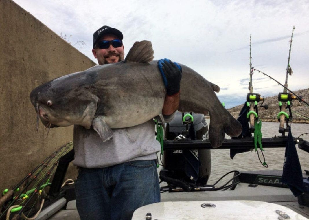 A man holding a state-record fish.