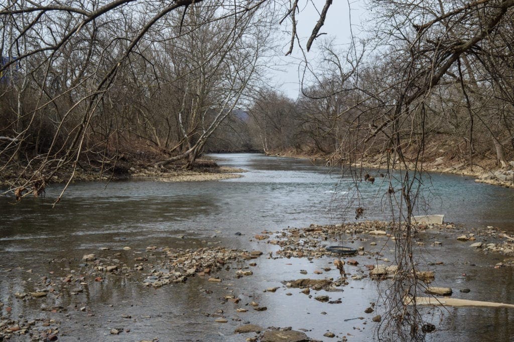 A photo of a winding creek.