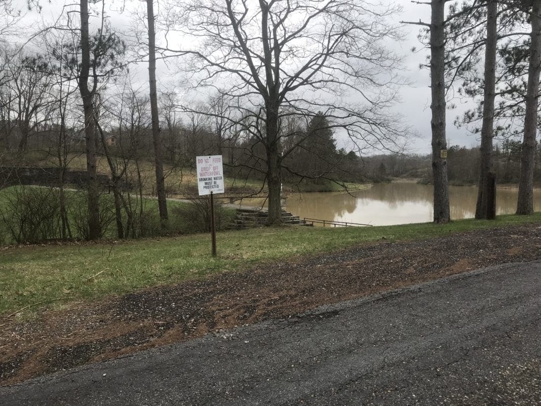 A lake at a park.