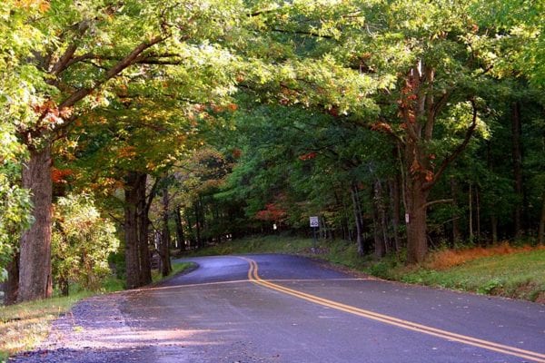 A photo of a country road in the summer.