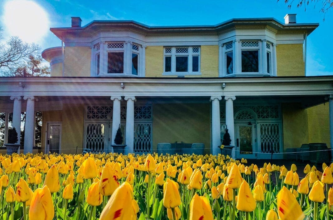 A yellow building with tulips in front of it.