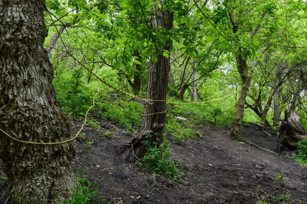 A rope system for a hillside.