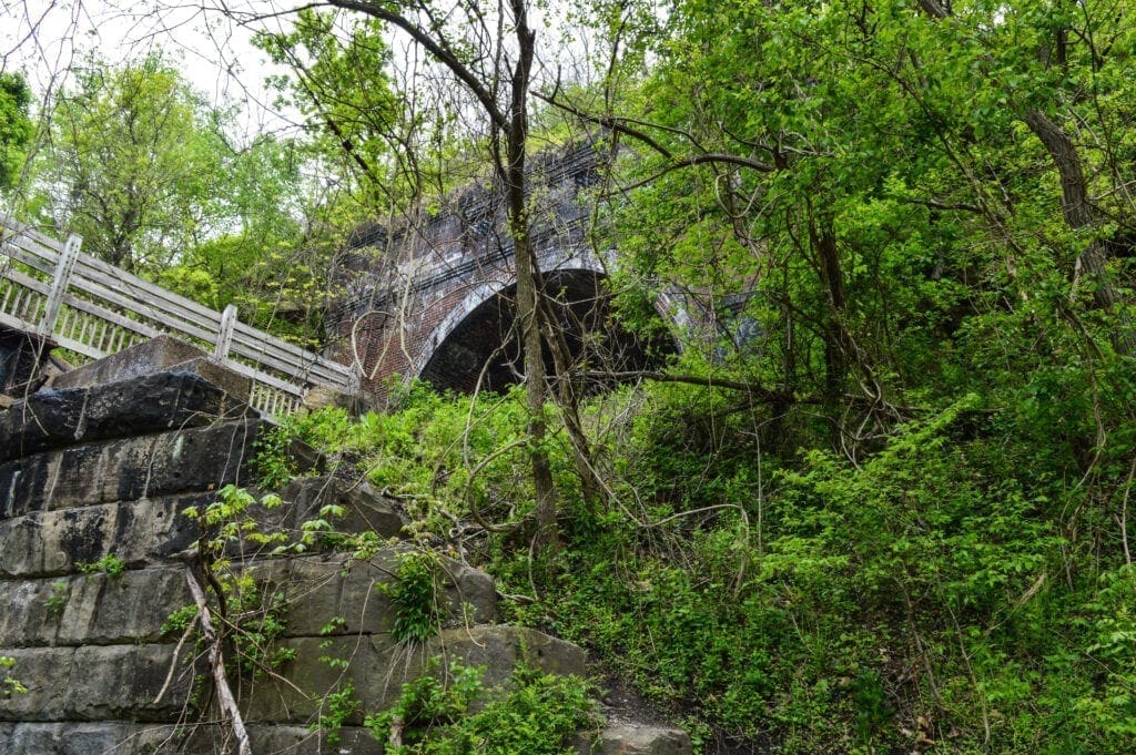 A path leading up to a trail.