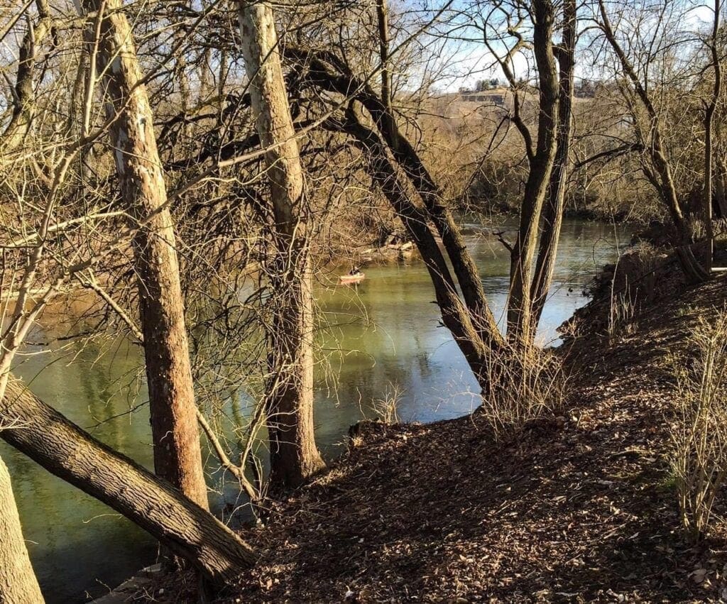 A photo of a creek bank in the winter.