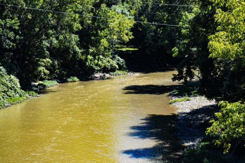 A view of a creek from a bridge.