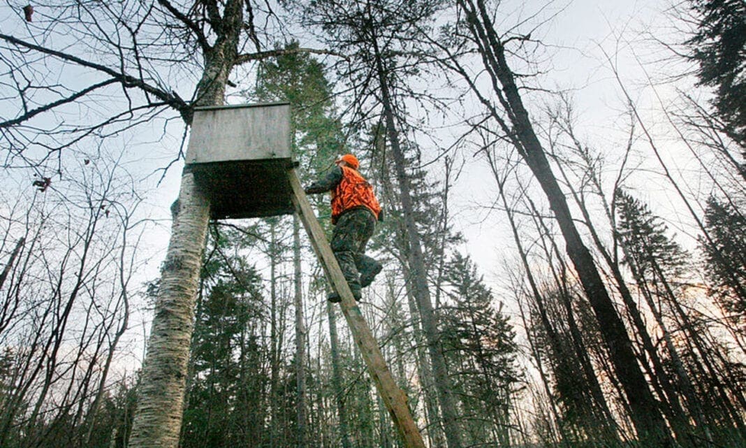 A hunter climbing to a stand.