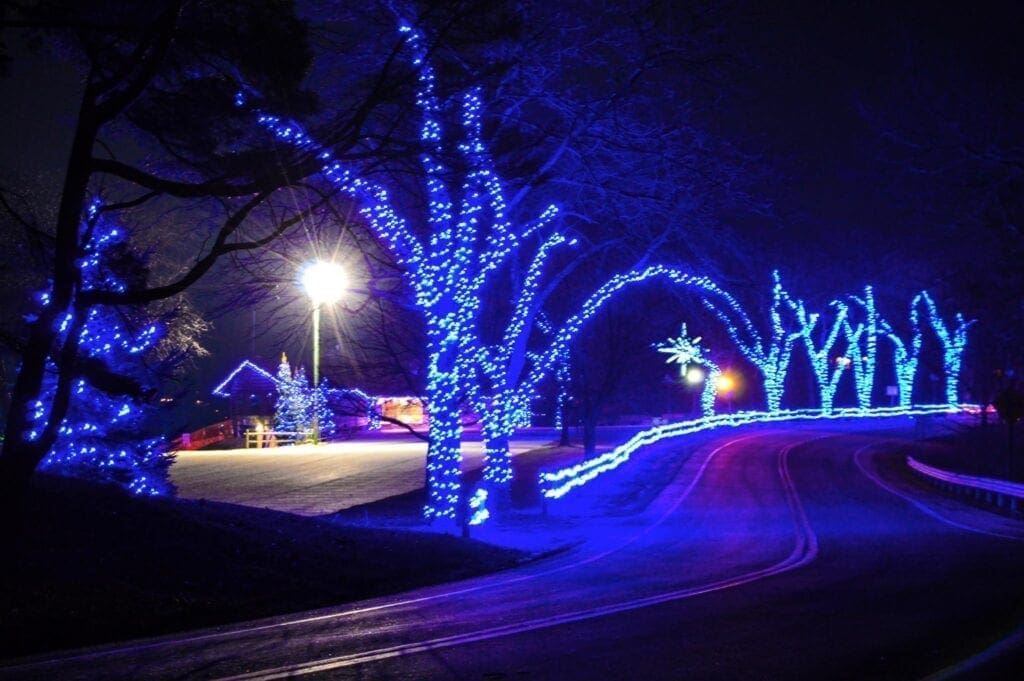 There are blue lights in the trees.