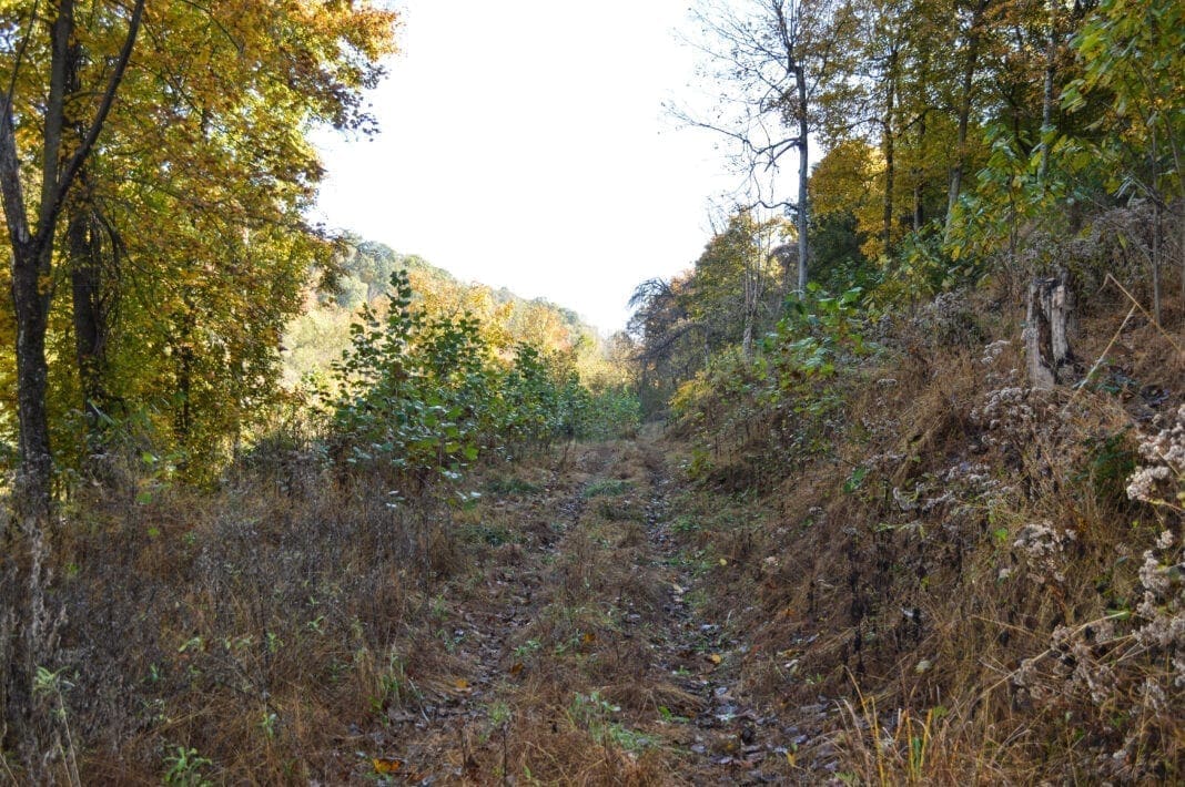 A path leading to the top of a hilltop.