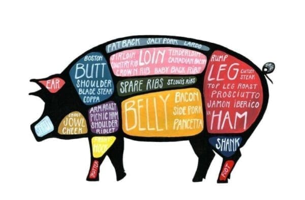 A diagram of pig parts.