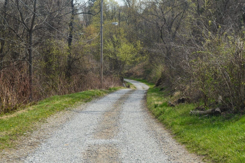 A gravel road.