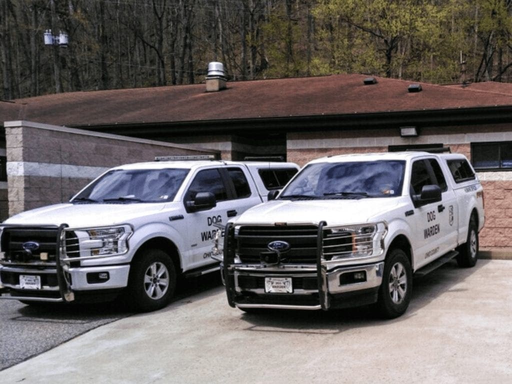 White trucks in front of a building.