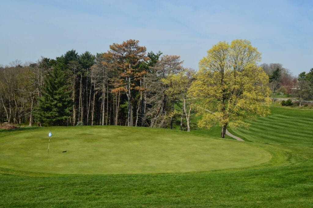 A putting green on a golf course.