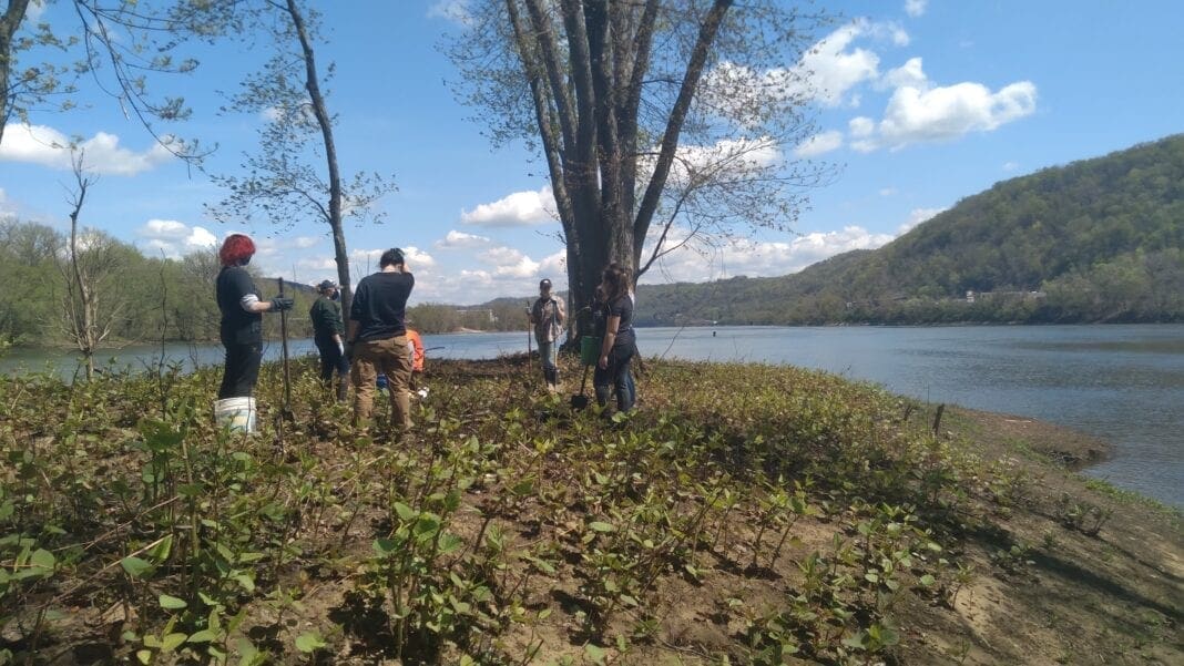 Wheeling Island Wildlife Refuge