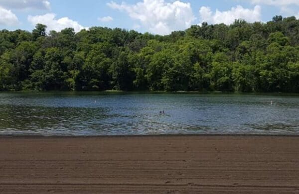 Fun and free The swim beach