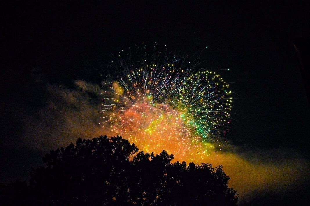 Fireworks being shot over a tree.