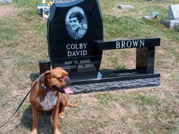 A dog near a grave stone.