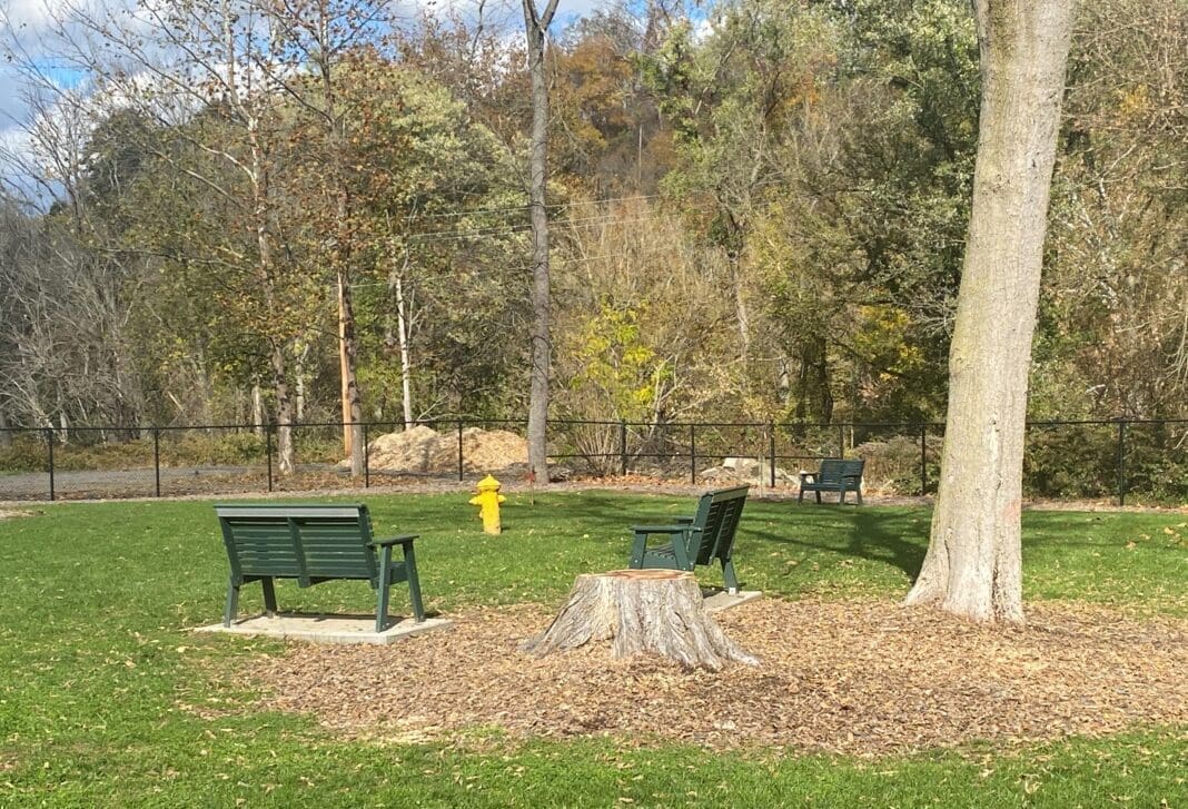 Dog Park in Wheeling