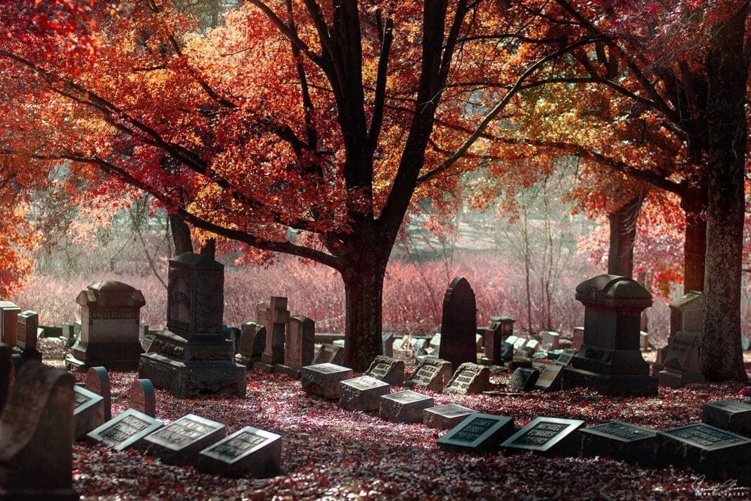 A photo of a graveyard.