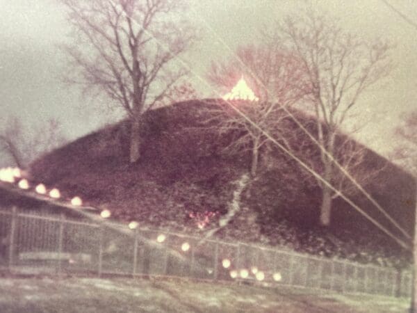 A mound with a tree on top.