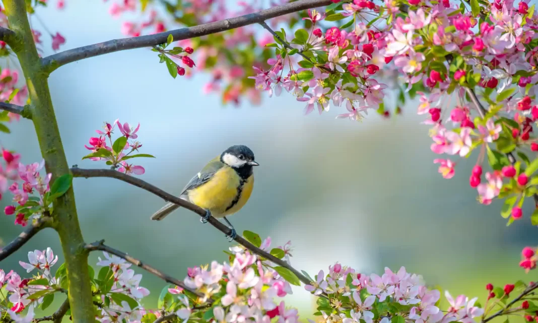 A bird in a tree.