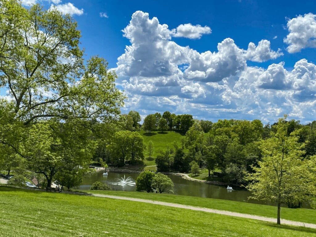 An open field before a lake.