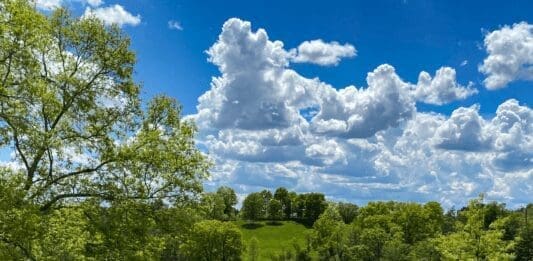 An open field before a lake.