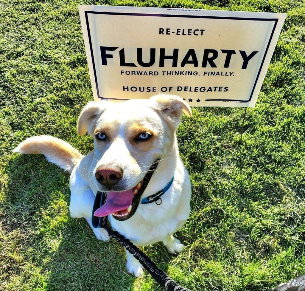 A dog near a campaign sign.