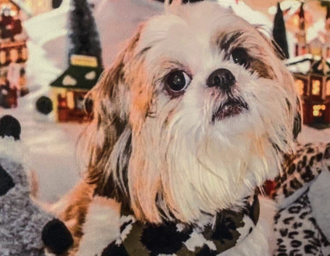 A puppy in front of a Christmas village.