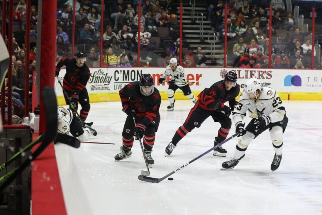 Players on the ice.