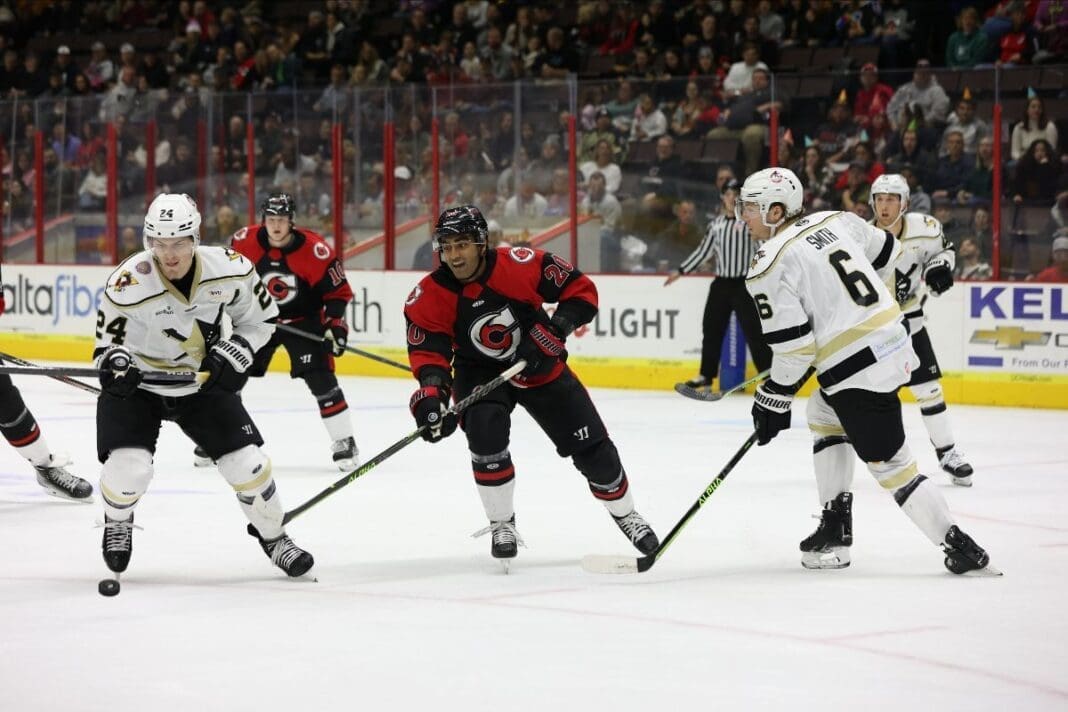 Players on the ice.