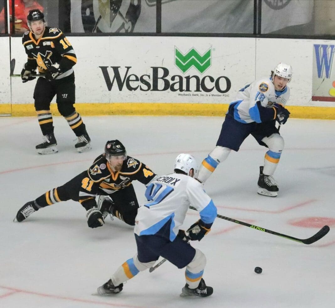 Teams playing hockey.