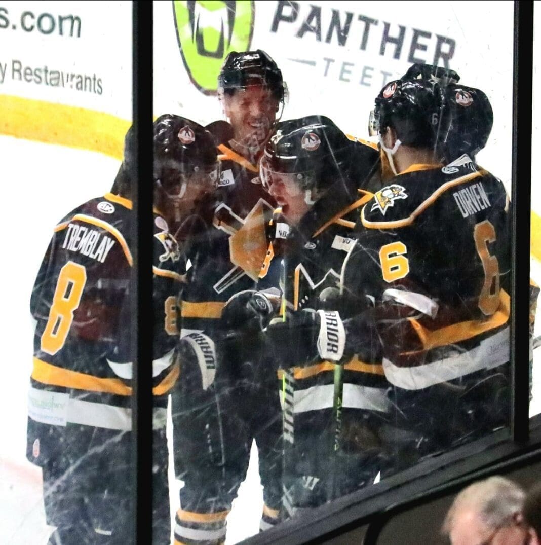 A hockey team on ice.