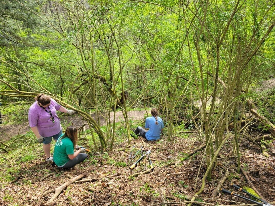 People in the woods.