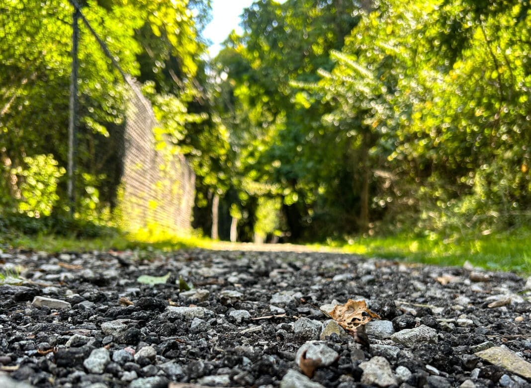 A gravel path.