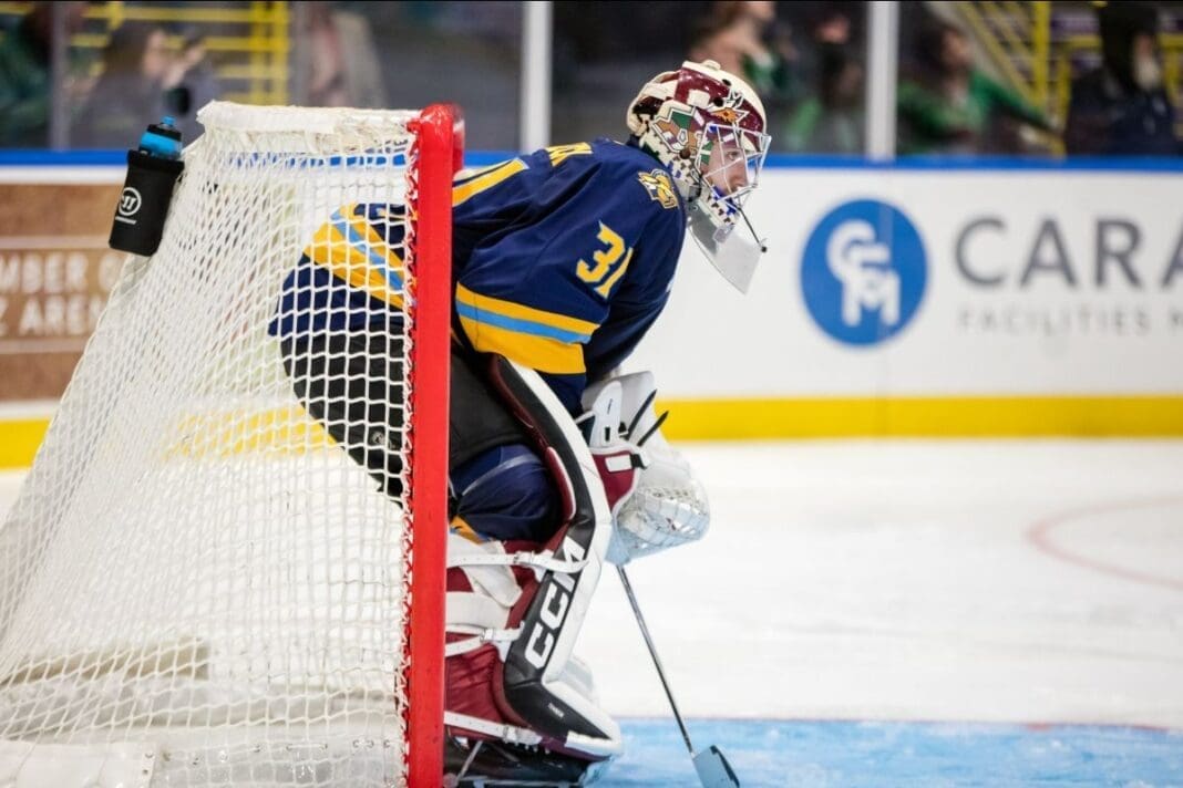 A hockey goalie.