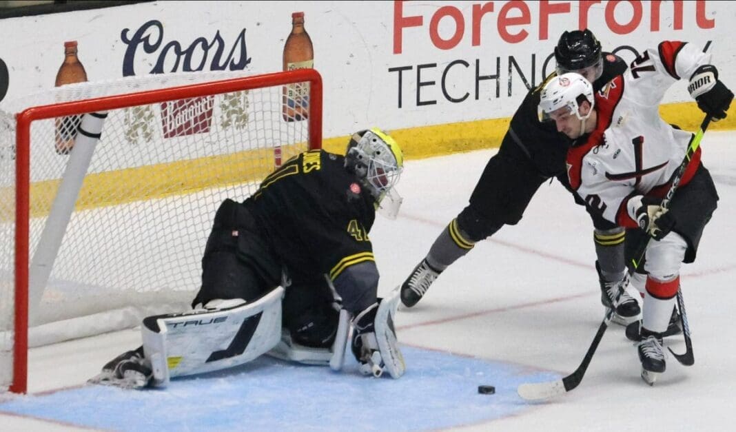 A hockey goalie.