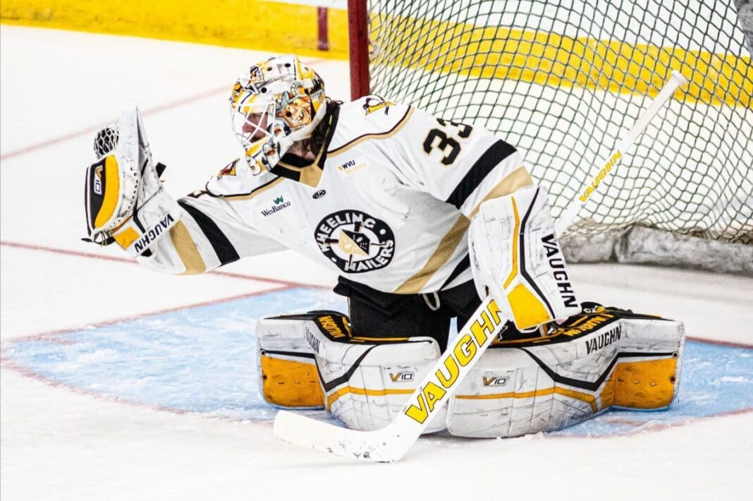 A hockey goalie.