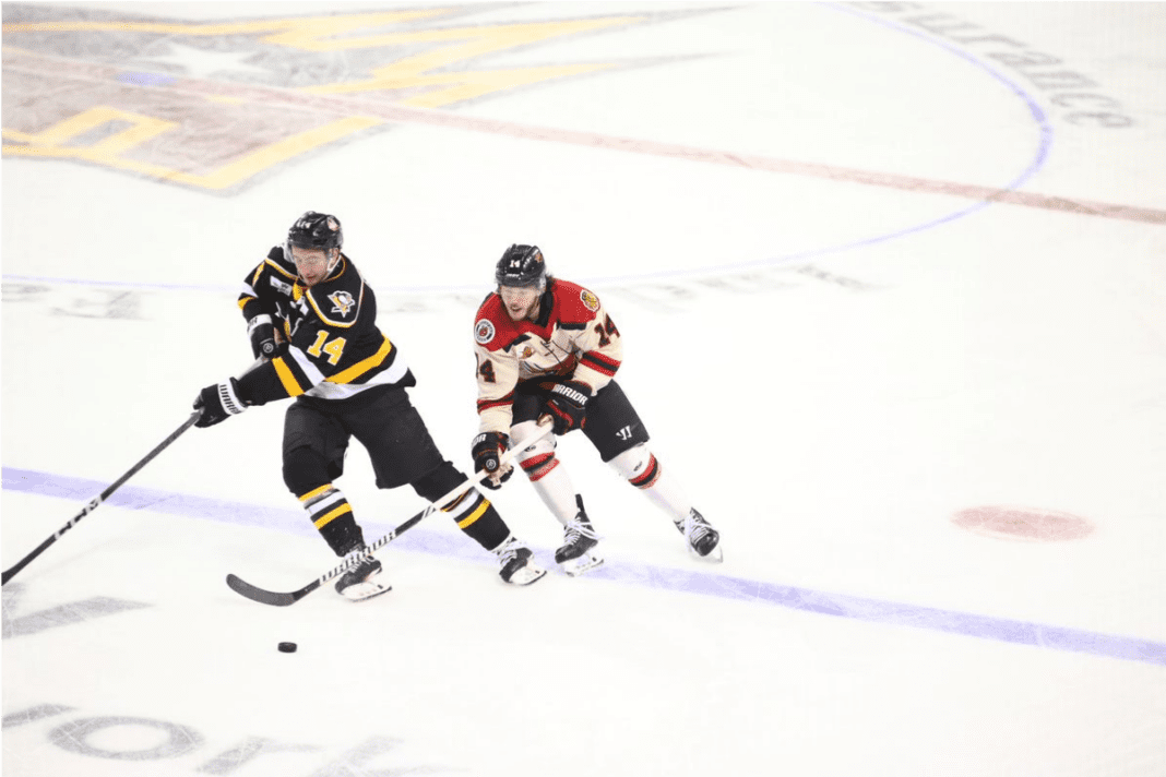 Two players on ice.