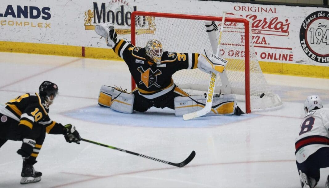 A hockey game.