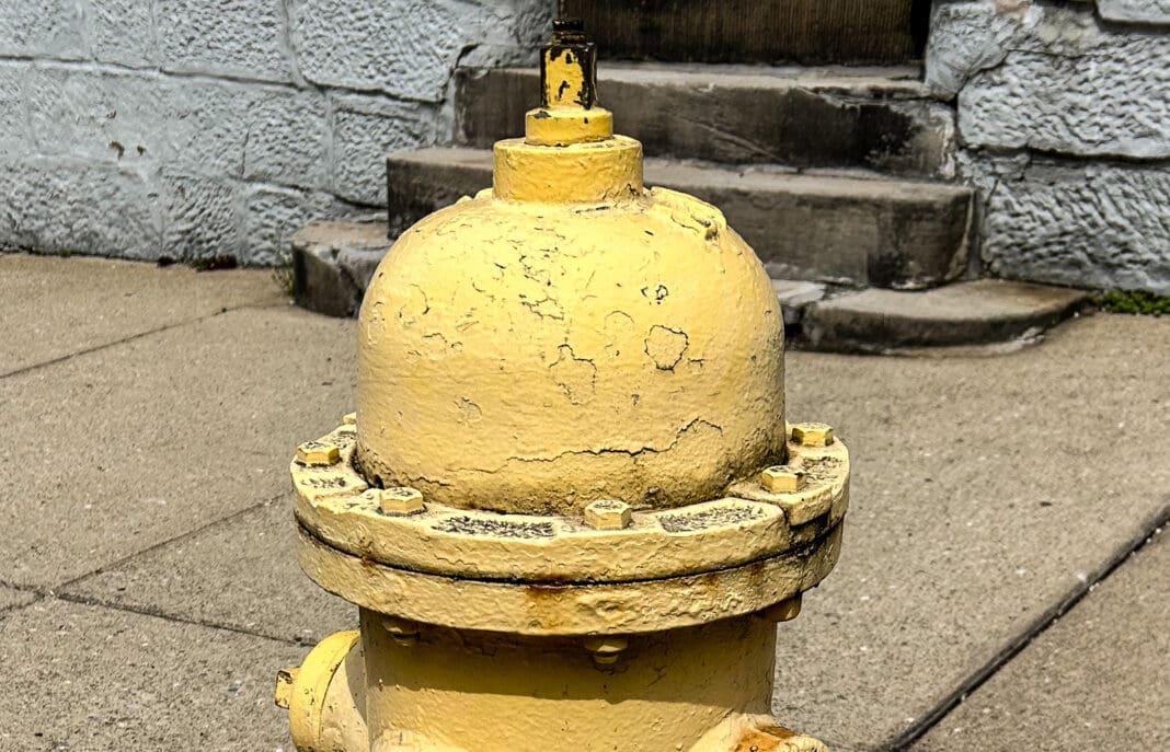 A fire hydrant.