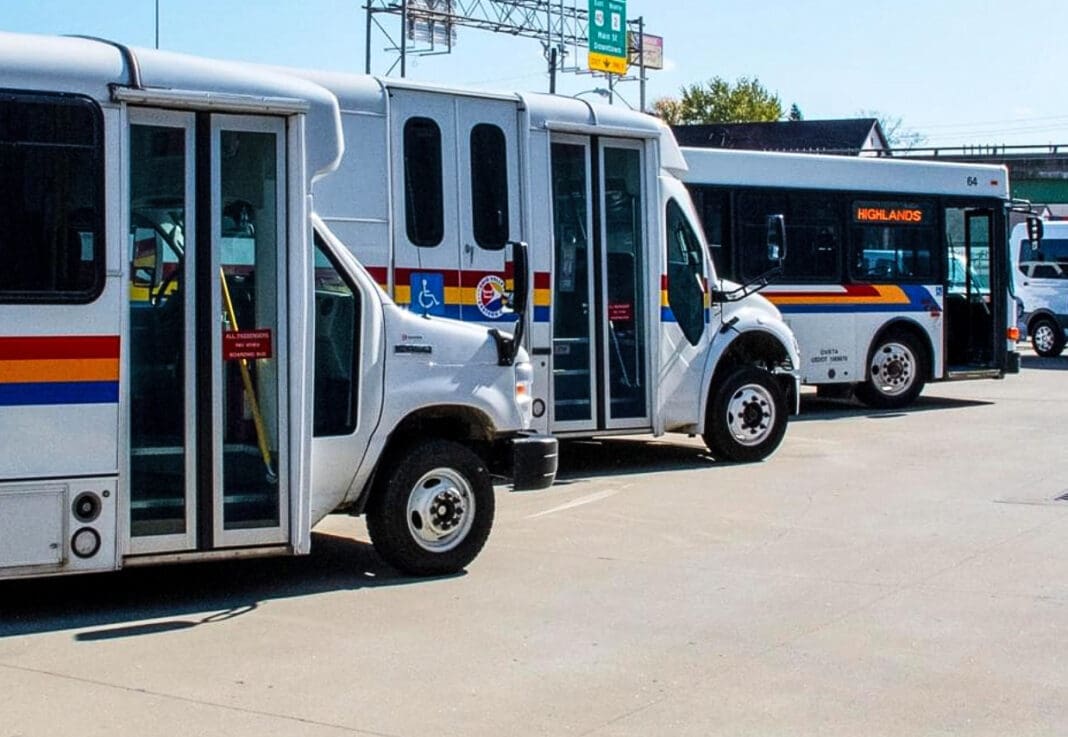 A couple of buses.