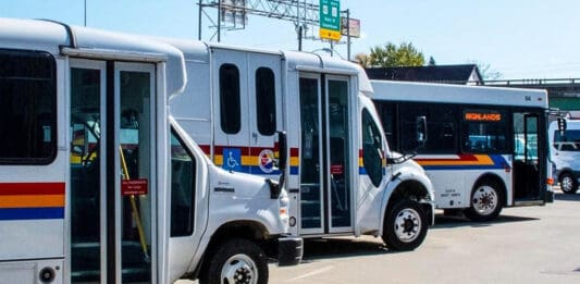 A couple of buses.