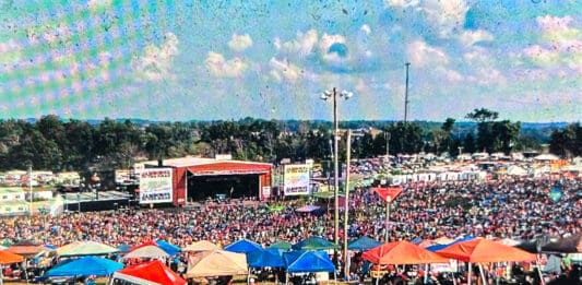 A field of people.