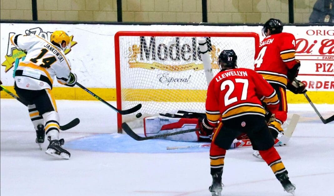 A hockey game.