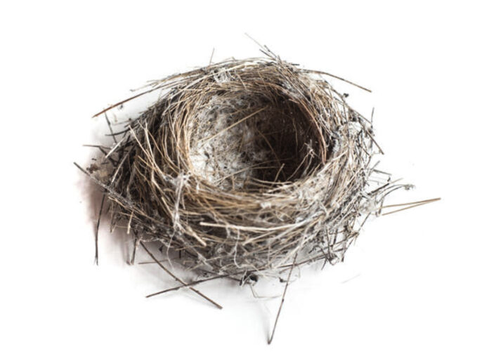 An empty nest.