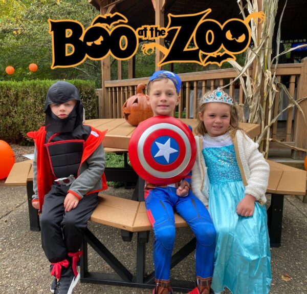 Boo at the Zoo Returns to Oglebay with a Month of Spooky Family Fun ...