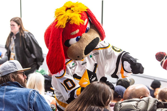 Nailers - News and Notes - 12-31-25 A feature photo.