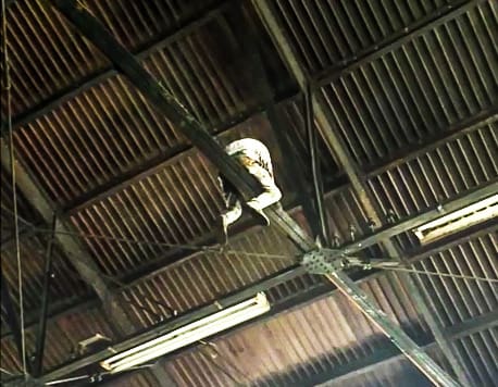 A man in the rafters.